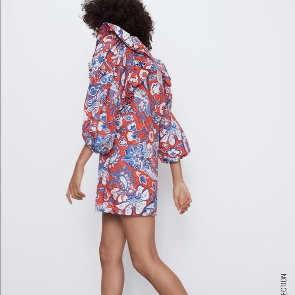 ZARA Ruffled Print Dress - Picture 6 of 11